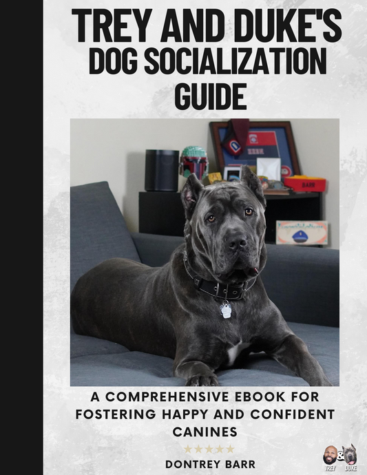 Trey and Duke's Dog Socialization Guide